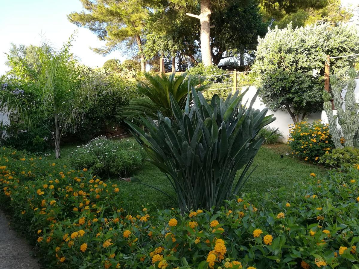 Bianco Sale Trapani Bed & Breakfast Rilievo ภายนอก รูปภาพ